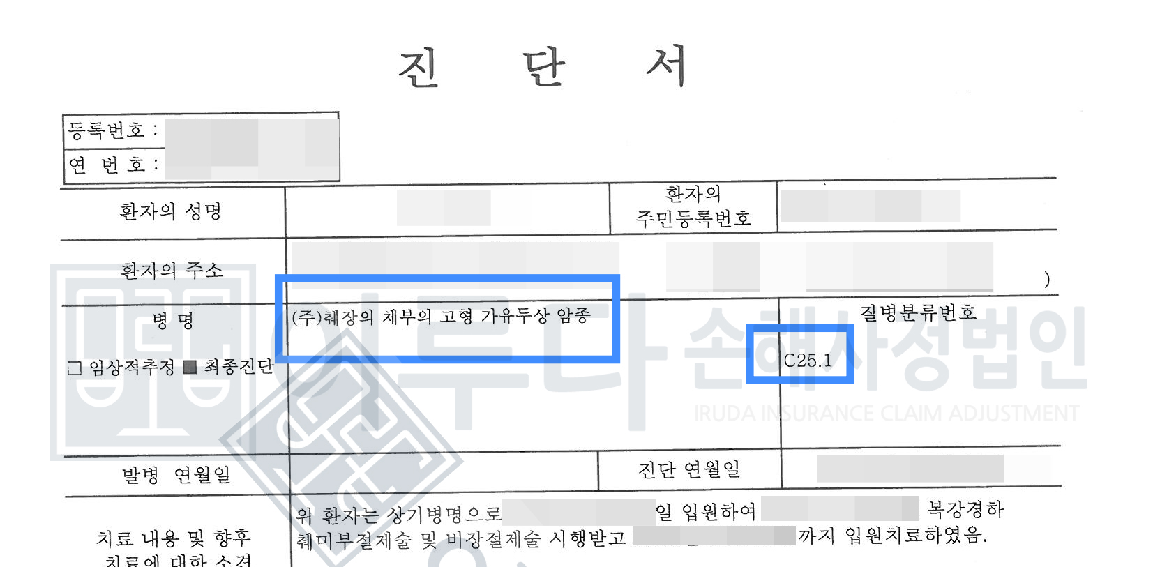 [C25,D377] 췌장고형가유두상종양 손해사정사례 이루다손해사정법인 성공사례 썸네일