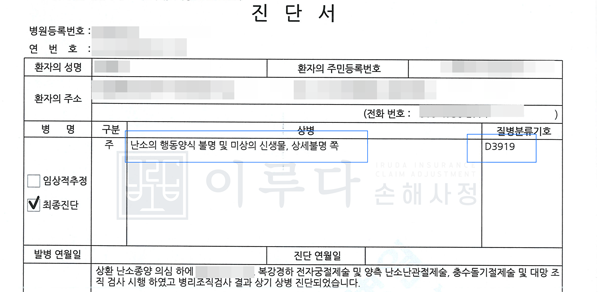 [D391] 난소경계성종양 손해사정사례 이루다 성공사례 썸네일